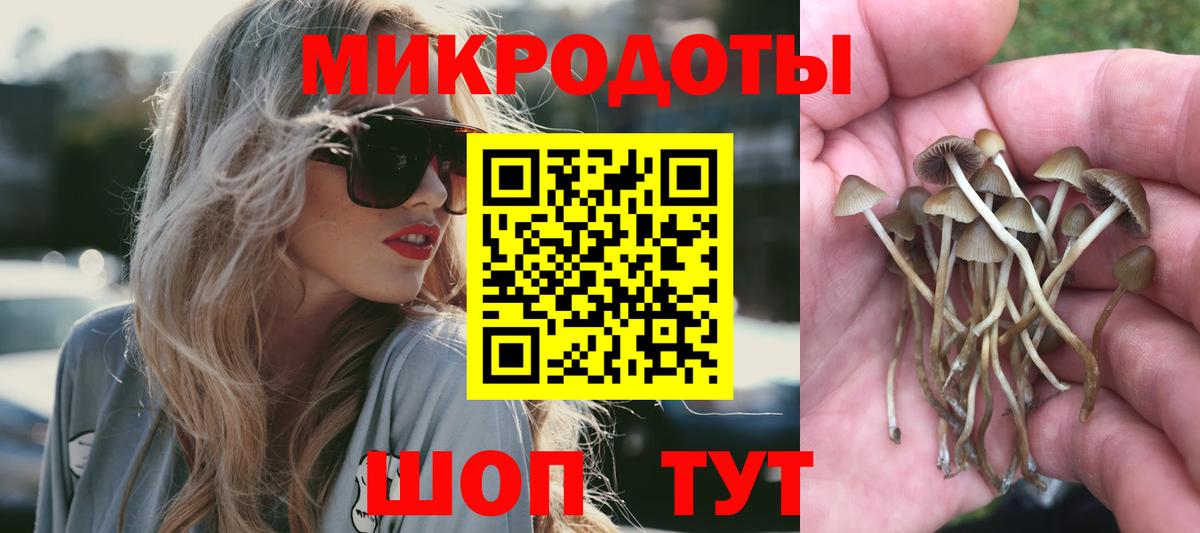 Галлюциногенные грибы Psilocybine cubensis  дарнет шоп  Белгород  Вход с VPN 