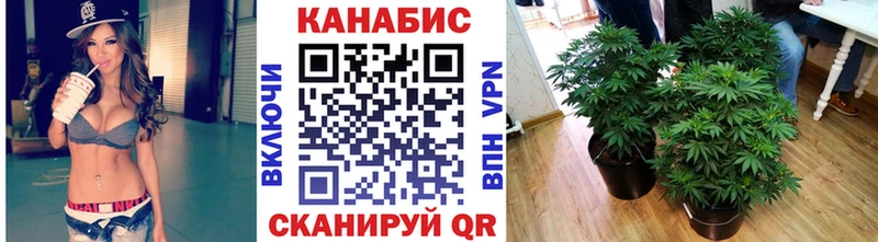 цены   Белгород  это какой сайт  Канабис SATIVA & INDICA 